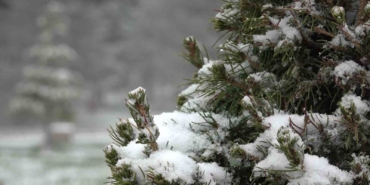 Nisanda kar yağdı, Uludağ’da yer kalmadı