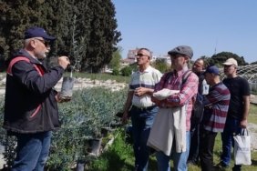 Edremit’te zeytin budama kursu uygulamalı eğitimle tamamlandı