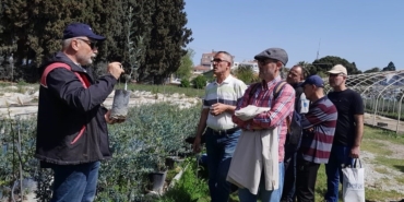Edremit’te zeytin budama kursu uygulamalı eğitimle tamamlandı