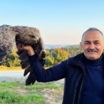 Arnavutköy’de ormanda ot toplayan vatandaş yaralı Kaya Kartalı buldu