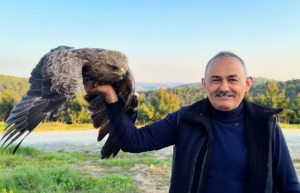 Arnavutköy’de ormanda ot toplayan vatandaş yaralı Kaya Kartalı buldu