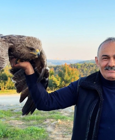 Arnavutköy’de ormanda ot toplayan vatandaş yaralı Kaya Kartalı buldu