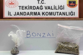 Tekirdağ’da jandarma yol ve mahalle denetimlerinde bonzai ele geçirdi