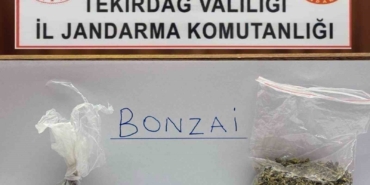 Tekirdağ’da jandarma yol ve mahalle denetimlerinde bonzai ele geçirdi