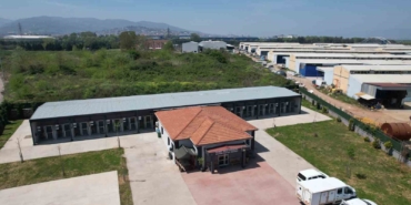 Kahraman köpek Proteo’nun adının yaşadığı merkez, sokak hayvanlarına şifa dağıtıyor