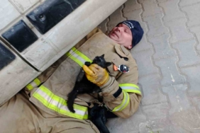 Edremit’te aracın içinde sıkışan yavru kedi kurtarıldı