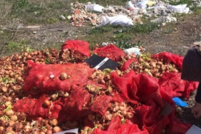 Yol kenarına dökülen soğanlara vatandaşlardan tepki
