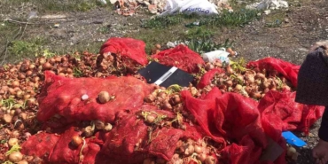 Yol kenarına dökülen soğanlara vatandaşlardan tepki