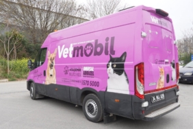 Ataşehir Belediyesi, yeni hayvan ambulansı "Vetmobil"i hizmete sunuyor