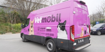 Ataşehir Belediyesi, yeni hayvan ambulansı "Vetmobil"i hizmete sunuyor
