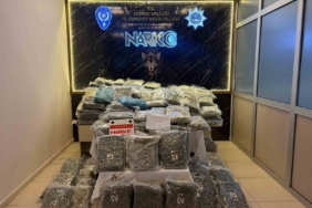 Kapıkule’de operasyonu: 171 kilogram uyuşturucu ele geçirildi, 2 kişi tutuklandı