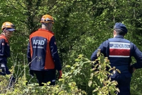 Ormana gitti, bir daha geri dönmedi: 45 gündür her yerde onu arıyorlar