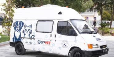 Sokak hayvanları için mobil veteriner