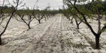 Çanakkale’de meyve bahçelerini dolu vurdu