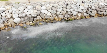 Moda Sahili’ni denizanası bastı: Dron ile böyle görüntülendi