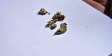 7 bin üreticiye bilgilendirme mesajı atıldı