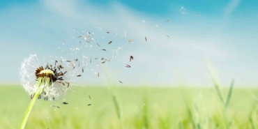 Baharla birlikte gelen polen kabusunuz olmasın