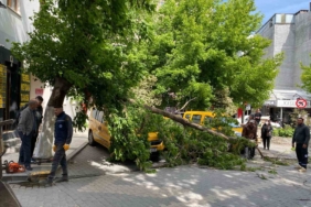 Çanakkale’de fırtınada kırılan ağaç dalı araçların üzerine devrildi