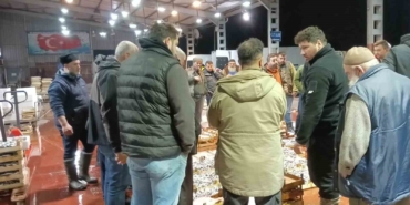 Av yasağı başladı, küçük teknelerin getirdiği balıklar mezatta satıldı