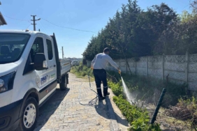 Erenler Belediyesi larva ilaçlama çalışmalarına başladı