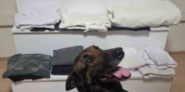 Balıkesir’de 6 kilo uyuşturucu yakalandı: 3 gözaltı