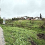 Çanakkale’de şap karantinası