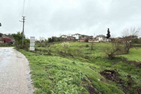 Çanakkale’de şap karantinası