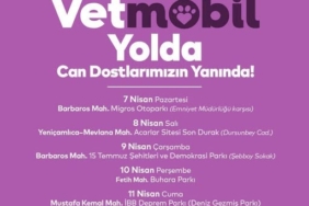 Vetmobil Ataşehir’in mahallelerinde hizmette