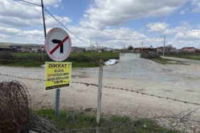 Çanakkale’de bir köye daha şap karantinası