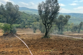 Tarım arazilerinizi koruyun, hisseli satışlara dikkat