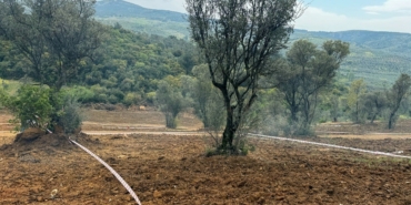 Tarım arazilerinizi koruyun, hisseli satışlara dikkat