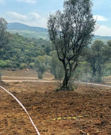 Tarım arazilerinizi koruyun, hisseli satışlara dikkat