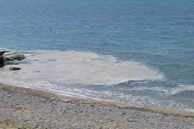 Yalova kıyılarında müsilaj görüldü