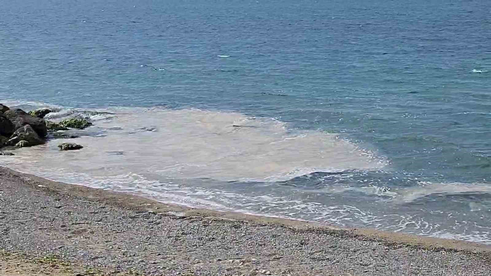 Yalova kıyılarında müsilaj görüldü