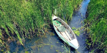 Usulsüz avcılara 67 bin lira ceza