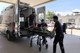 Üzüm yaprağı toplarken çatıdan düştü