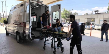 Üzüm yaprağı toplarken çatıdan düştü
