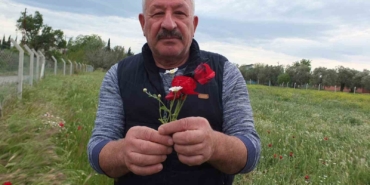 Burhaniye’de tarlalar gelincik açtı