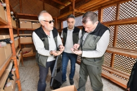 Balıkesir’de Gal Arısıyla mücadele sürüyor