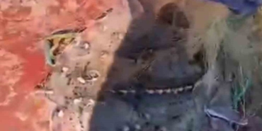 Kırklareli’nde 44 bin metre kaçak ağ toplandı