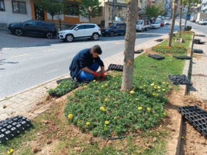 Kağıthane’de yeşil alanlarda bakım çalışması yapıldı