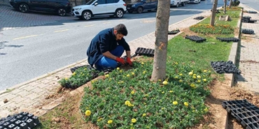 Kağıthane’de yeşil alanlarda bakım çalışması yapıldı