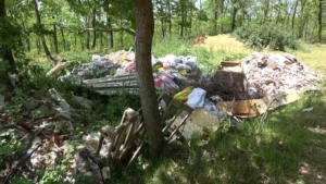 Şile’de ormanlık alanlar çöpten geçilmiyor