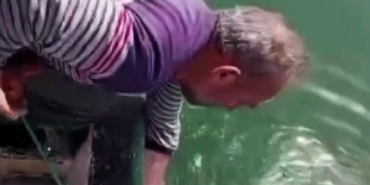 Ağlara değil, kalplere takıldı: Karasu’da yunusu kurtarıp esprili sözlerle uğurladı