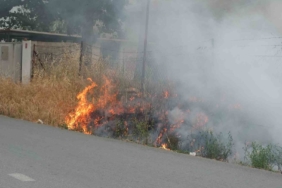 Burhaniye’de ot yangını korkuttu