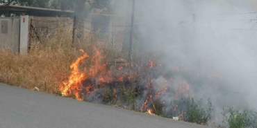 Burhaniye’de ot yangını korkuttu