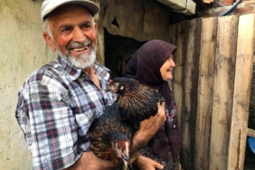 Üreticiye yüzde 50 hibeli yumurta tavuğu desteği
