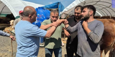 Sultangazi kurban pazarında bayram hareketliliği devam ediyor