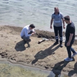 İznik Gölü sahilinde ikinci top mermisi