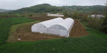 Üreticilere sera desteği